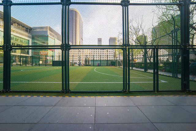DSC00508.jpg