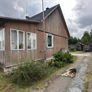 IMG 4612