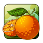 Oranges