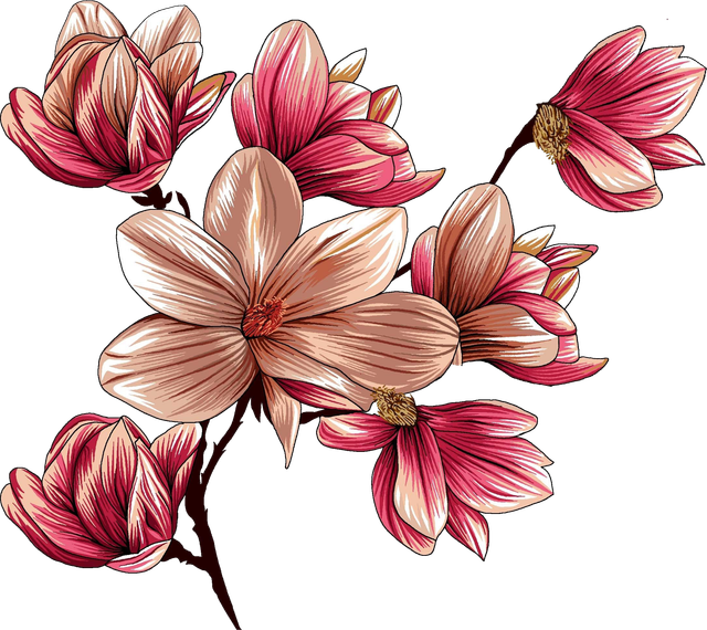 2d6dbf9e60faffacd624489b9839a202.png