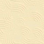 cream19