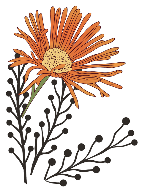 fe2ea93d67dfa4c6ae93772e7365bda9.png