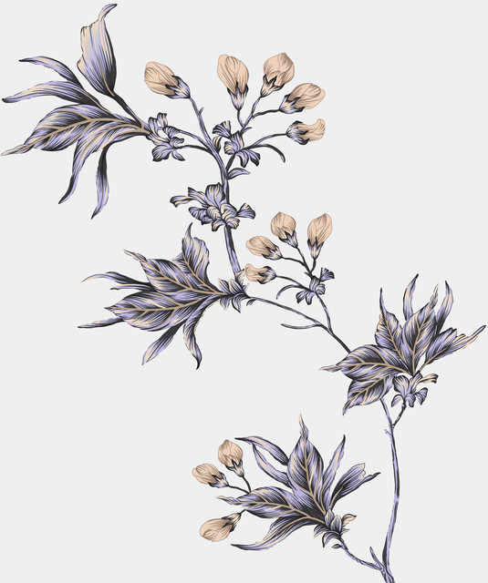 shutterstock 2403005831.jpg