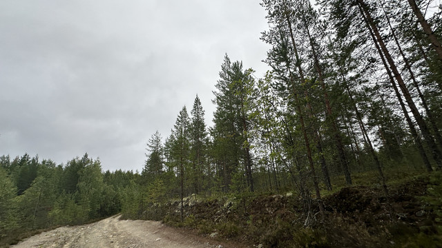 IMG 4998.jpg
