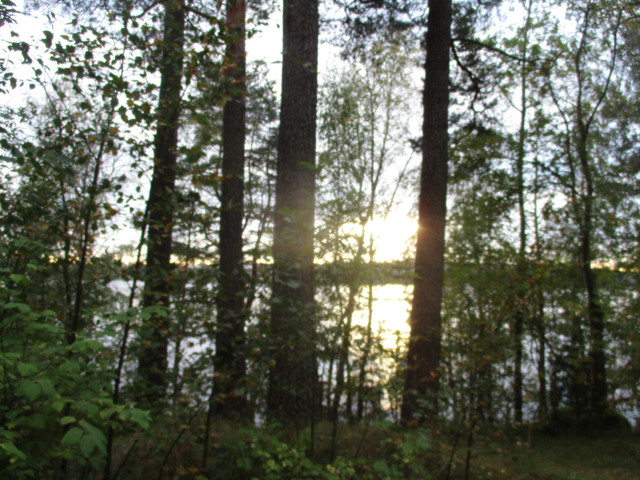 IMG-9903