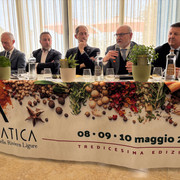 IMG 7242