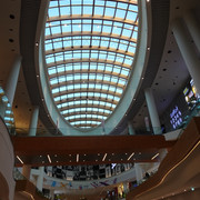 DSC02342