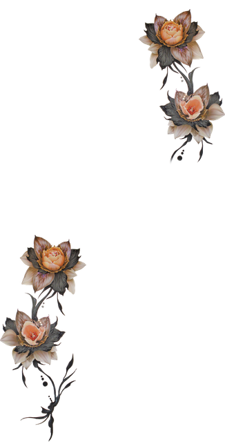 Untitled 1 copy.png
