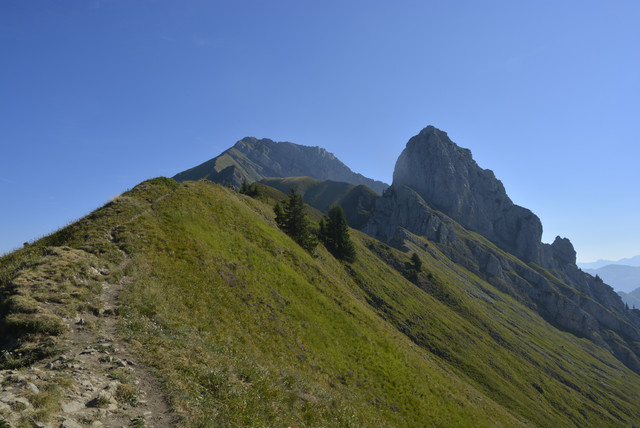 DSC1503.jpg