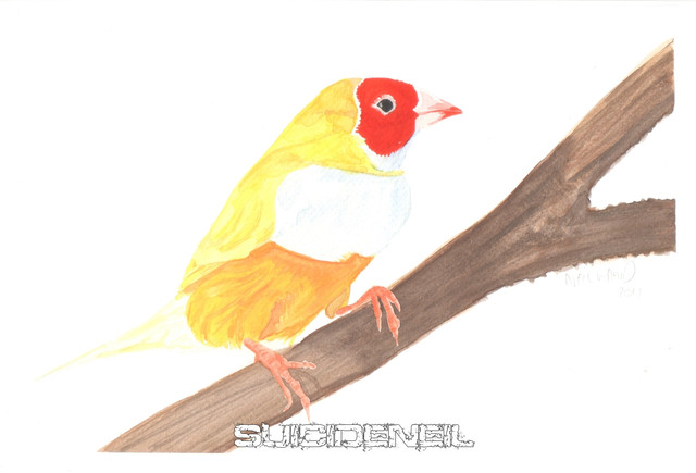 Painting14