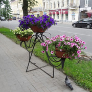 DSC05773-5