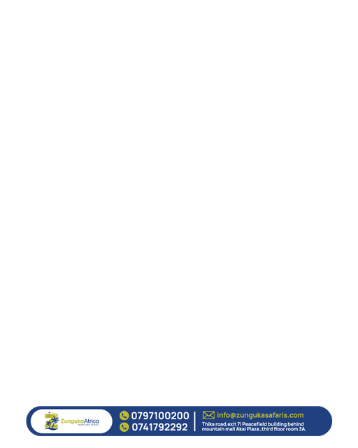 overlay one.png