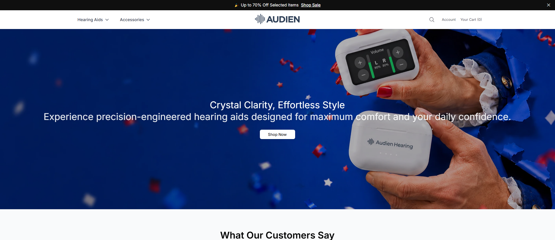Stored capture of audienstore.shop