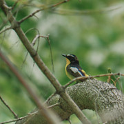 P5232869-1.jpg