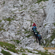 IMG 2749