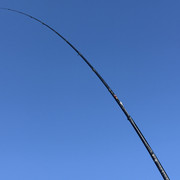 IMG-0275