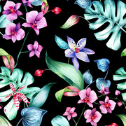 Pattern (17)