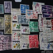 IMG-2027