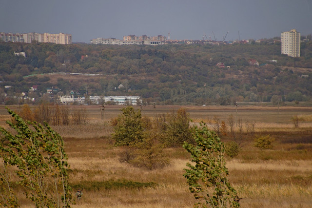 DSC08220