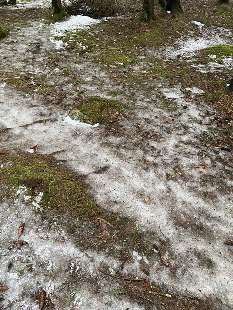 1-A1-F0-C64-04-B3-47-F2-8-ED2-5-A0-E1-CF