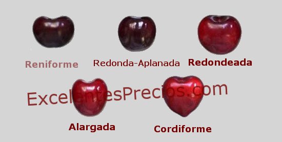 diferentes formas de cereza
