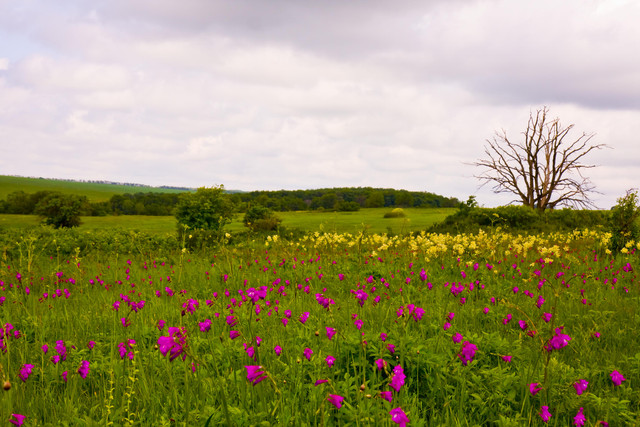 spring-083