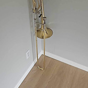 IMG-4982