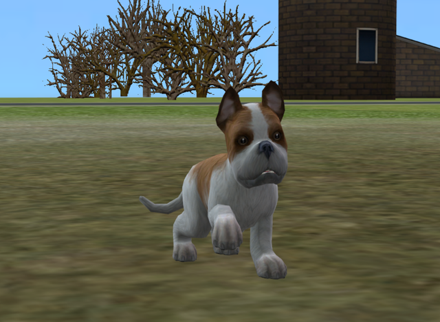 Screenshot-294
