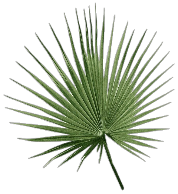a95019877690b90d984b1ac05f0d94e6.png