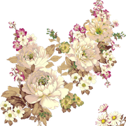 646a3aceba9da7c3af0062f926d3dff4