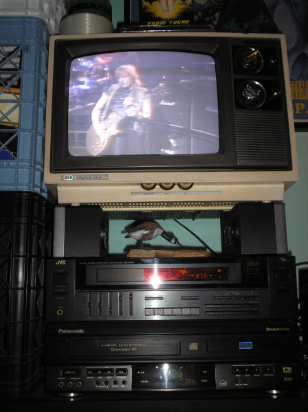 Maiden-VHS-2.jpg