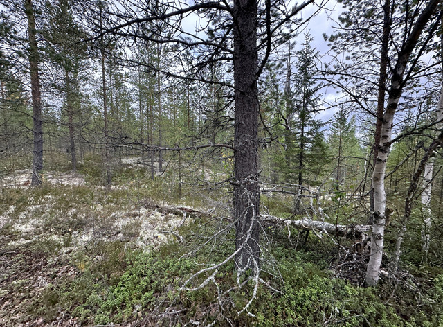 IMG 5775.jpg