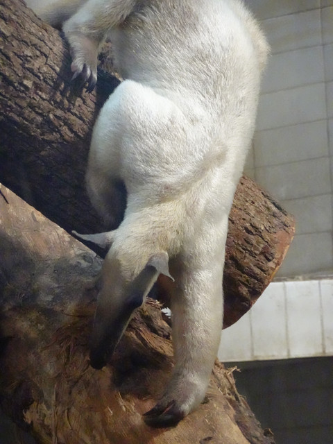 DSC09684.jpg