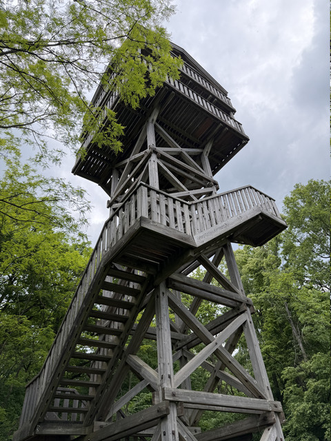 IMG 2332.jpg