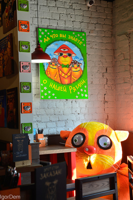 DSC8641.jpg