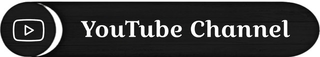 Youtube channel