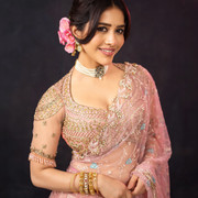 Nabha Natesh (9)