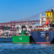 DSF5646