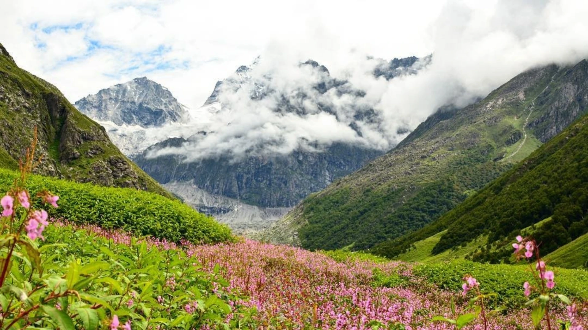 Valley of Flowers Trek