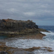 DSCF8609
