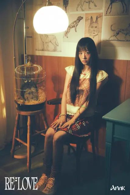 bo mi apink 1395363.webp
