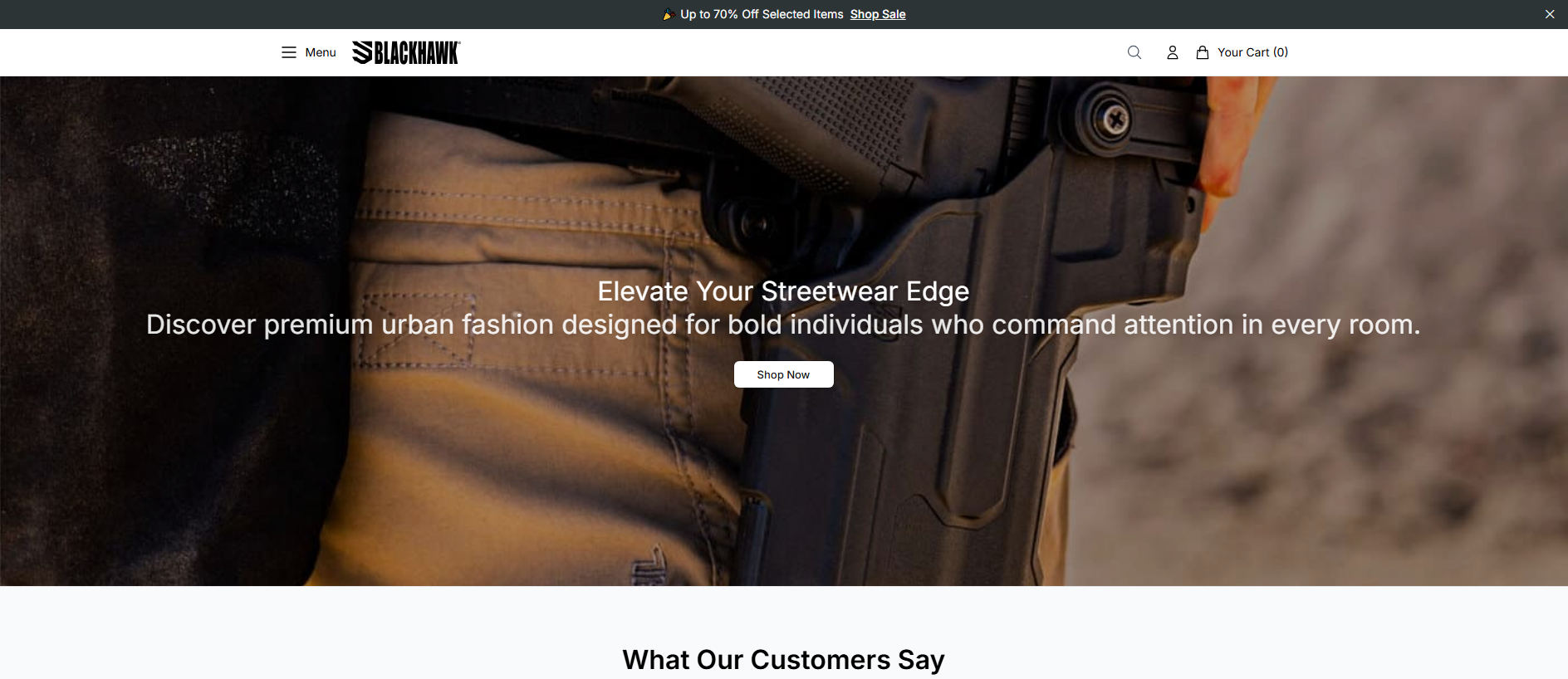 Primary capture · blackhawkshop.shop
