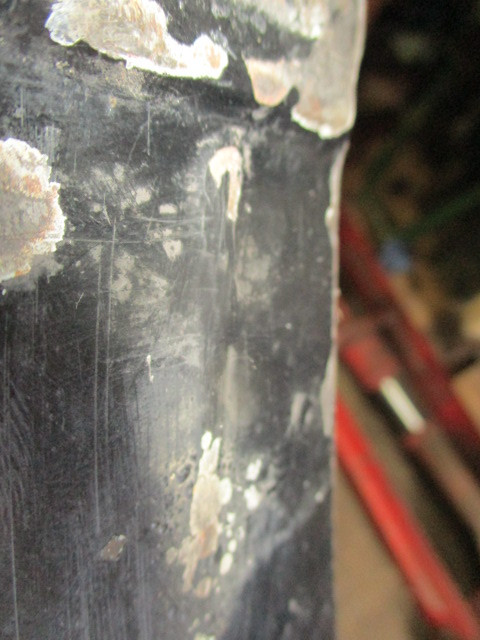 IMG-9016.jpg
