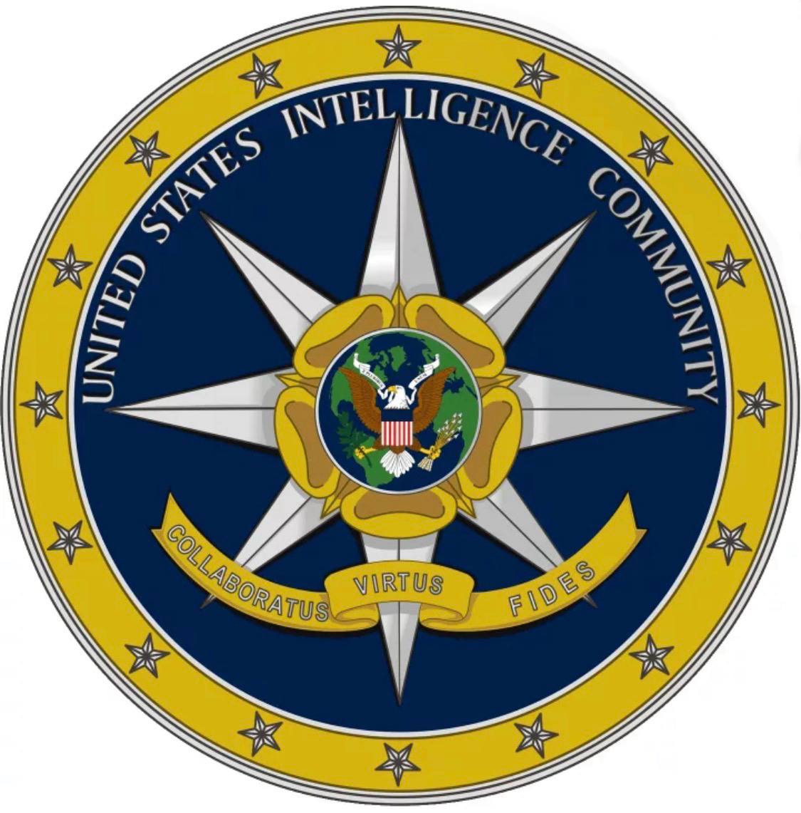 Intelligence USA