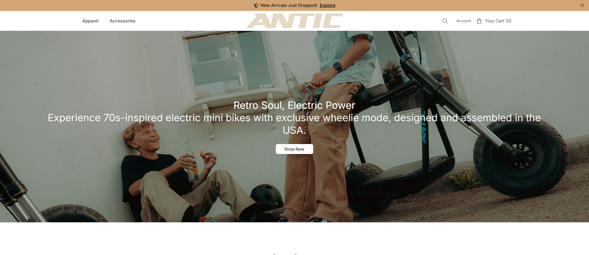 Stored capture of antivelo.shop