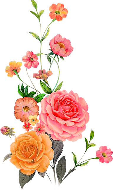 89f21b9d32d6918984f2e1ddb8fa9d12.png