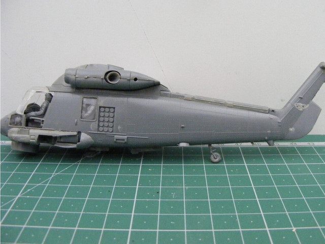 Merlin 41.jpg