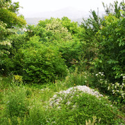 IMG-20220708-202643