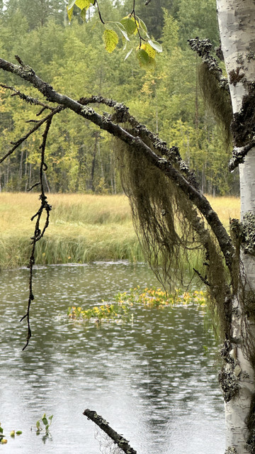 IMG 4860.jpg