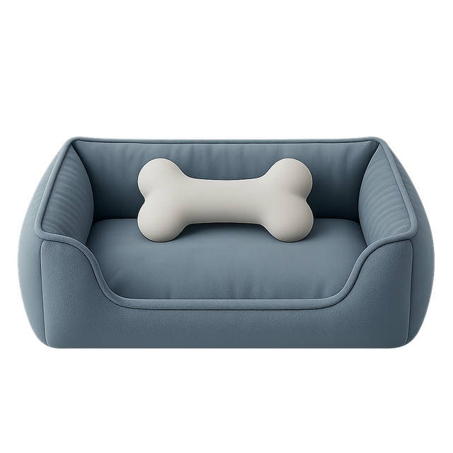 Cama azul.png